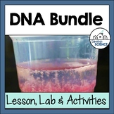 DNA Structure - DNA and RNA - Protein Synthesis Mega-bundle