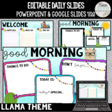 Editable Daily Morning Work Slides {LLAMA Theme} PowerPoin