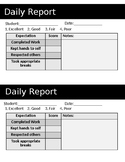 Editable Daily Reports