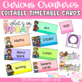 Editable Daily Visual Timetable Cards | Curious Creatures