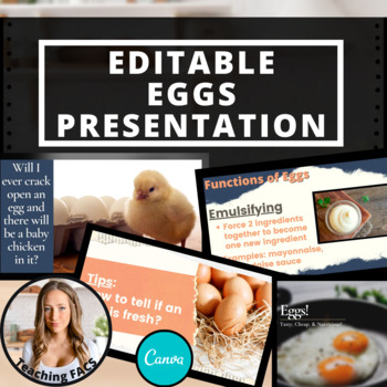 Preview of Editable Eggs Presentation [FACS, FCS]