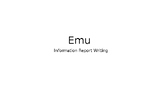 Editable Emu Information Report Writing PowerPoint.