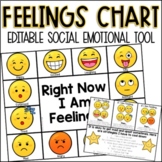 Editable Identifying Feelings and Emotions Chart for Socia