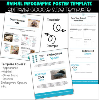 Preview of Editable Google Slide Animal Infographic Poster Template-Animal Research Reports