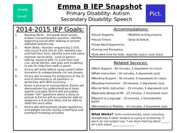 Preview of Editable IEP At a Glance/Snapshot