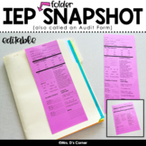 Editable IEP Folder Snapshot - Editable IEP Audit Form