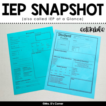 Preview of Editable IEP Snapshot - IEP at a Glance - IEP Data Sheet