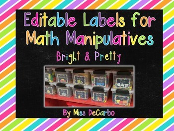 Preview of Editable Labels for Math Manipulatives and Organization {Bright & Pretty!}