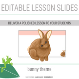 Editable Lesson Slides Bunny Rabbit Easter Theme