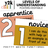 Editable Levels of Understanding Posters for Formative Assessment