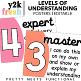 Editable Levels of Understanding Posters for Formative Assessment