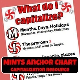 Editable MINTS Capitalization Anchor Chart!