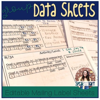 Preview of Editable Mailing Label Group Data Sheet and Individual Lesson Plan Template