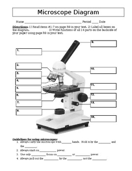 Preview of Microscope Diagrams worksheet (Editable resource)