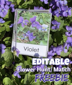 Preview of Editable Montessori Flower Hunt / Match Pictures and Template