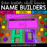 Editable Name Practice Fine Motor Name Activities Snap Cub