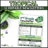 Editable Newsletters | Tropical Classroom Theme