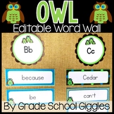 Editable High Frequency Owl Word Wall Template With Printa