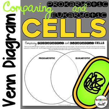 Comparing Prokaryotic and Eukaryotic Cells Venn Diagram Activity