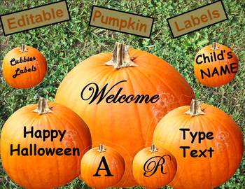 Preview of Editable Pumpkin Fall Labels Home Classroom