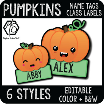 free cubby name tags worksheets teaching resources tpt