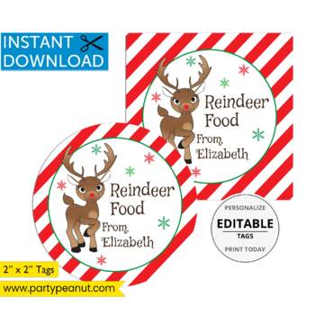 MAGIC REINDEER FOOD CHRISTMAS ROUND STICKERS LABELS GIFT TAGS MATT OR GLOSS 