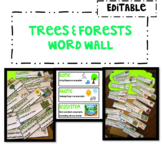Editable Science Word Wall : Trees & Forests