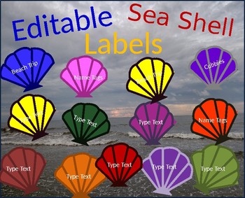 Preview of Editable Beach Sea Shell Ocean Labels