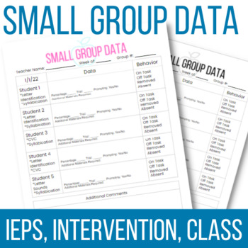 Preview of Editable Small Group Data Collection Form