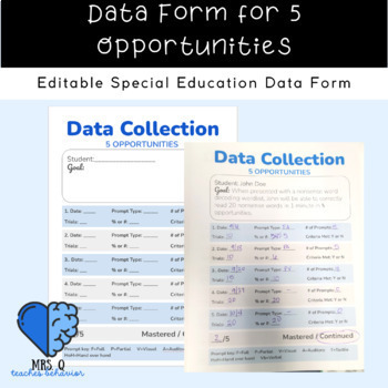 special education student data sheet