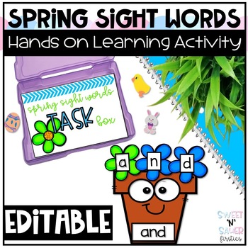 Preview of Editable Spring Sight Words