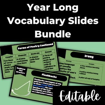 Preview of Editable Standards Aligned Reading Content Vocabulary Slides