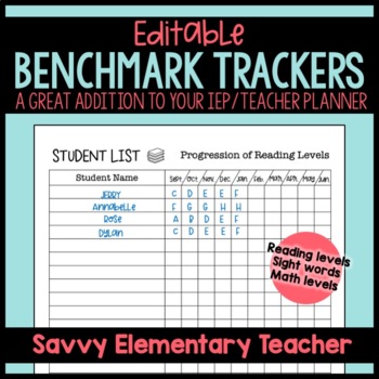 Preview of Editable Student Benchmark Tracker | Reading Levels, Math Scores and Sight Words