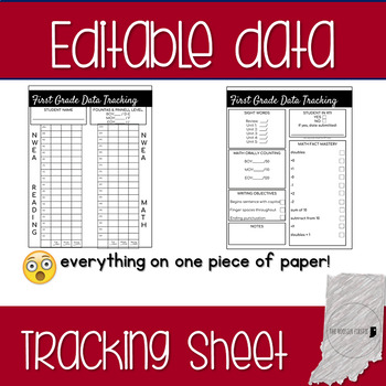 Preview of Editable Student Data Tracking Sheet