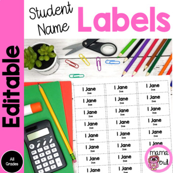 Preview of Editable Student Labels | Mailing Labels - 30 per sheet