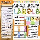 Editable Teacher 10 Drawer Rolling Cart Labels | Classroom
