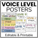 Editable Voice Level Posters in Colour and Black and White