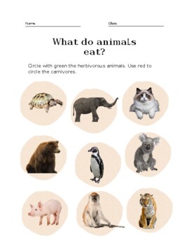 What do animals eat? carnivores & herbivores editable & fillable worksheet