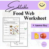 Editable Missty's Worksheet Food Chain/Web Worksheet / Tes