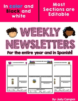 Preview of Editable Yearly Newsletters in Spanish