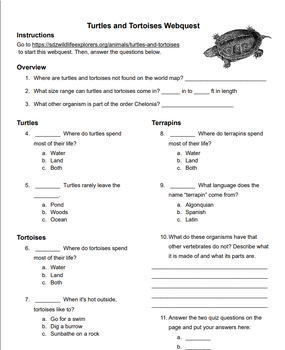 Preview of Editable Zoology Webquest: Turtles & Tortoises (also Terrapins)