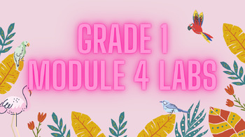 Preview of Education Curriculum (EL) Grade 1 Module 4 Labs