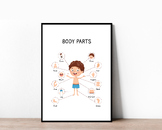 Educational Boy's Body Parts Poster for Kids Learning, Hom