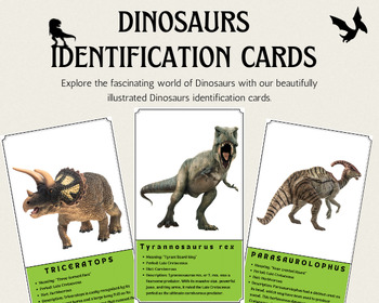 Preview of Dinosaur Identification Cards For Future Paleontologists