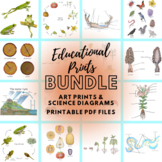 Educational Prints Bundle: 20+ scientific diagrams and sci