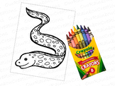 Eel Ocean Animal Coloring Page