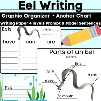 Preview of Eel Writing & Labeling Ocean Animal Informative (Have Can Are) Anchor Charts