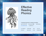 Effective Reading - Structured Phonics  Set 4  o_e, oa, oo, OO