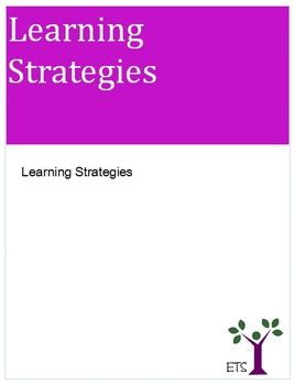 Preview of Effective Teaching System's Learning Strategies