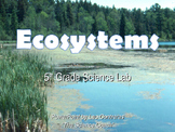 Effects of Changes in an Ecosystem